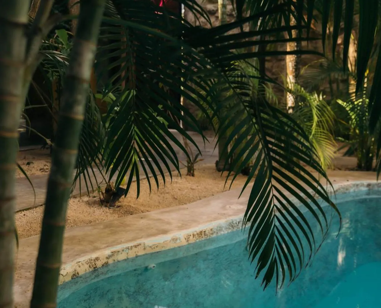Villa Privada 8 Habitaciones Tulum