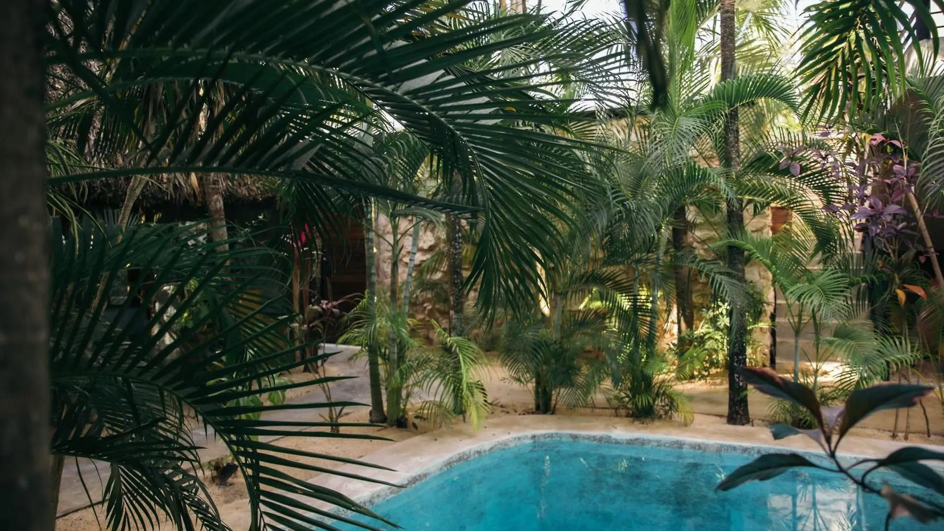 Villa Privada 26 Personas Tulum 0*,